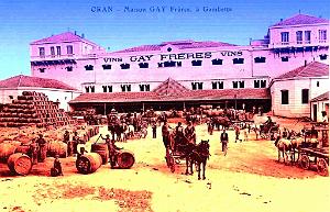 Oran- Vins Gay